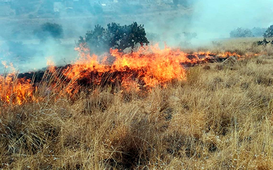 Incendiaron Cinco Hectáreas De Pastizal El Sol De Hidalgo Noticias